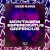 DJ Wz Da Dz7 - Montagem Esperioratus Grifiricus