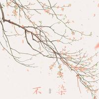 息筝 - 不染