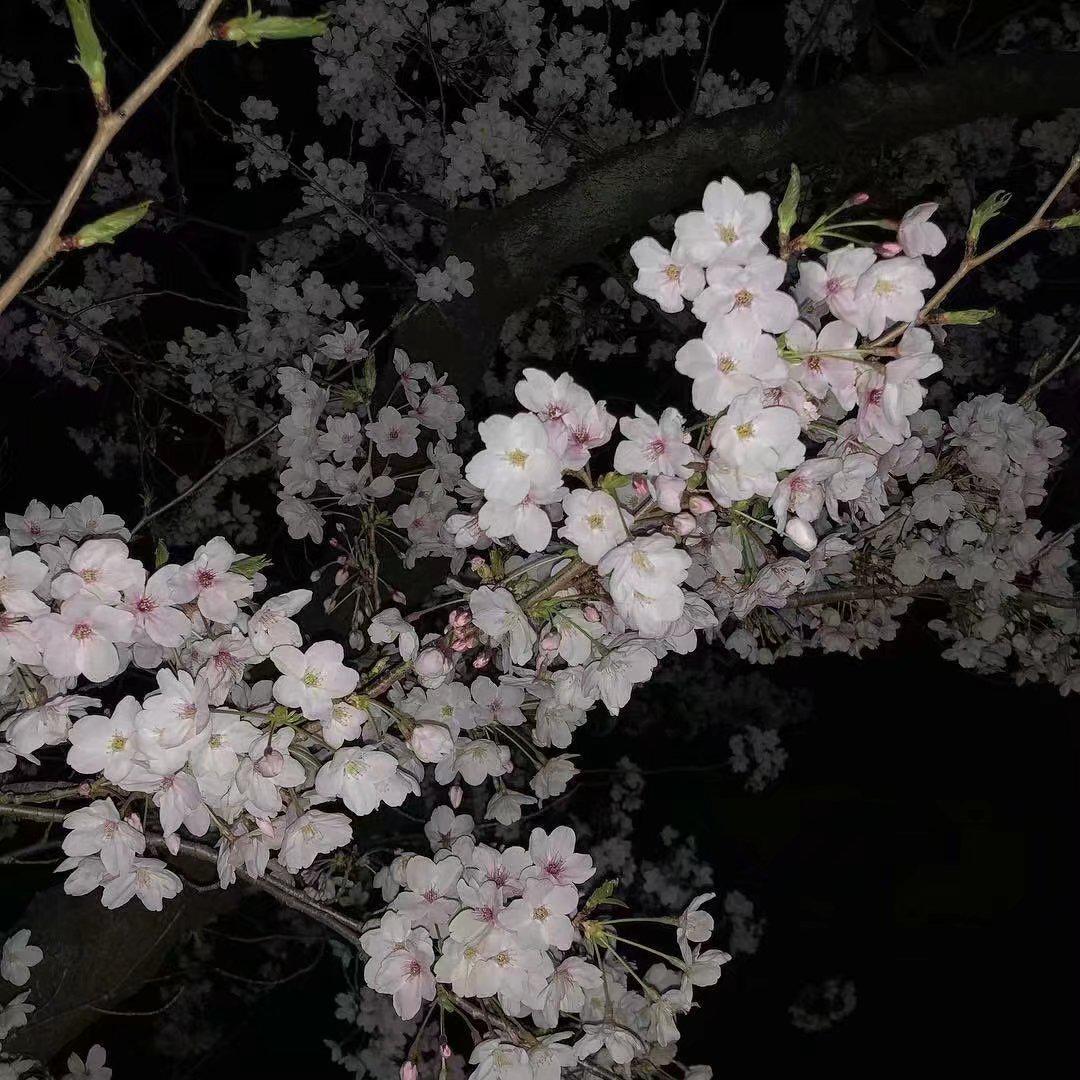 Cinnamons - Summertime (Remix)