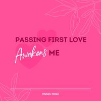 Passing First Love Awakens Me