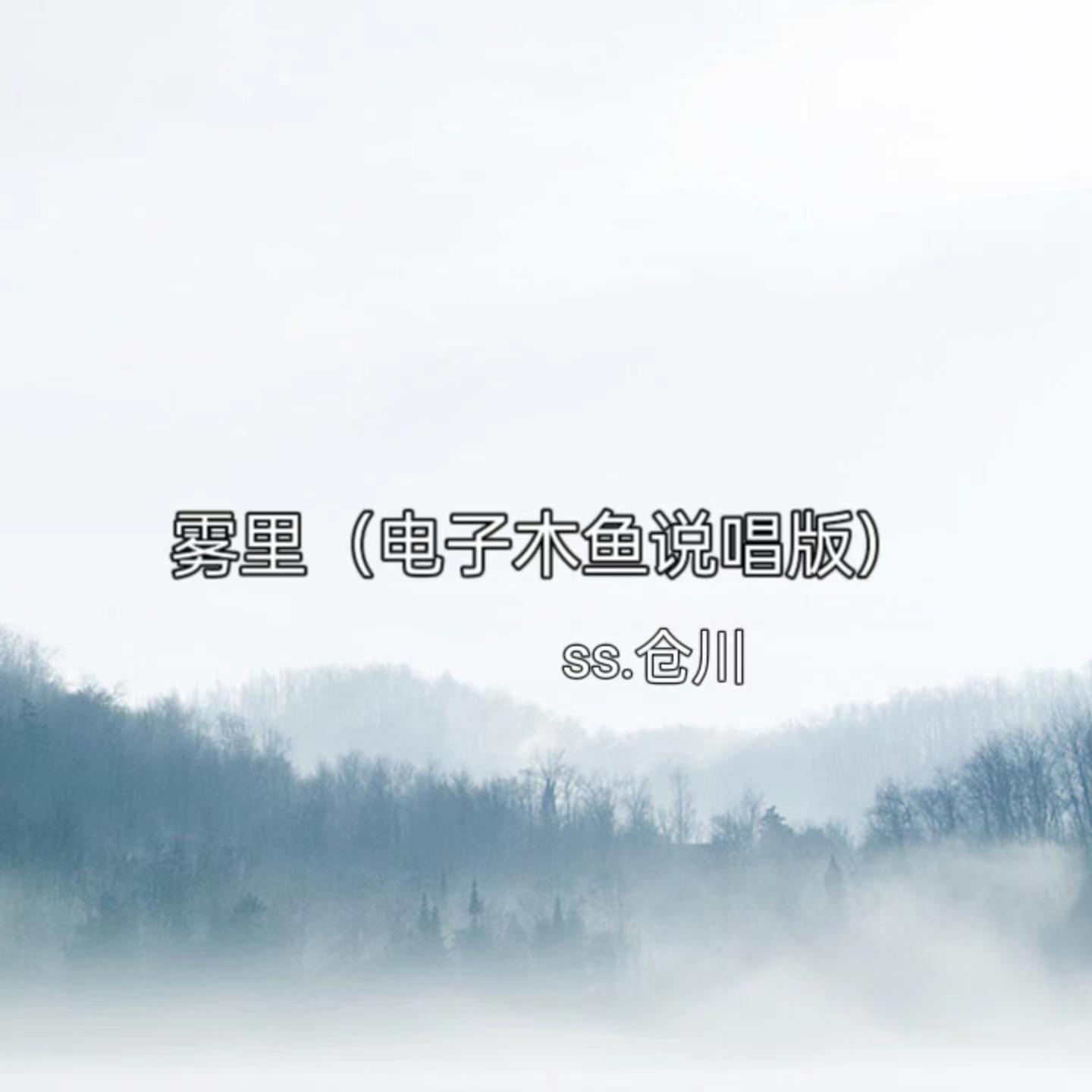 雾里（电子木鱼说唱版）封面