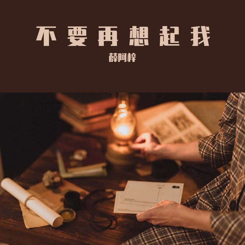 不要再想起我