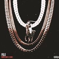 Polo (Michael Hanke Remix)