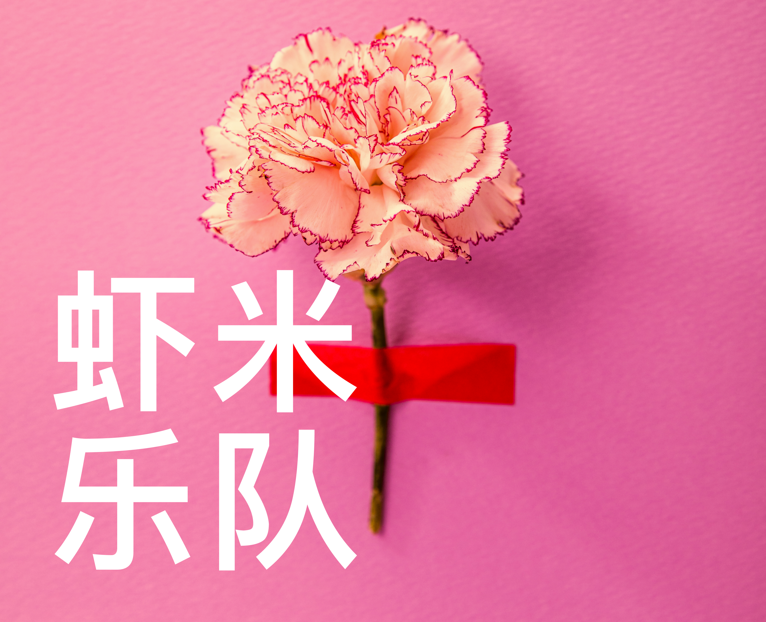 虾米乐队