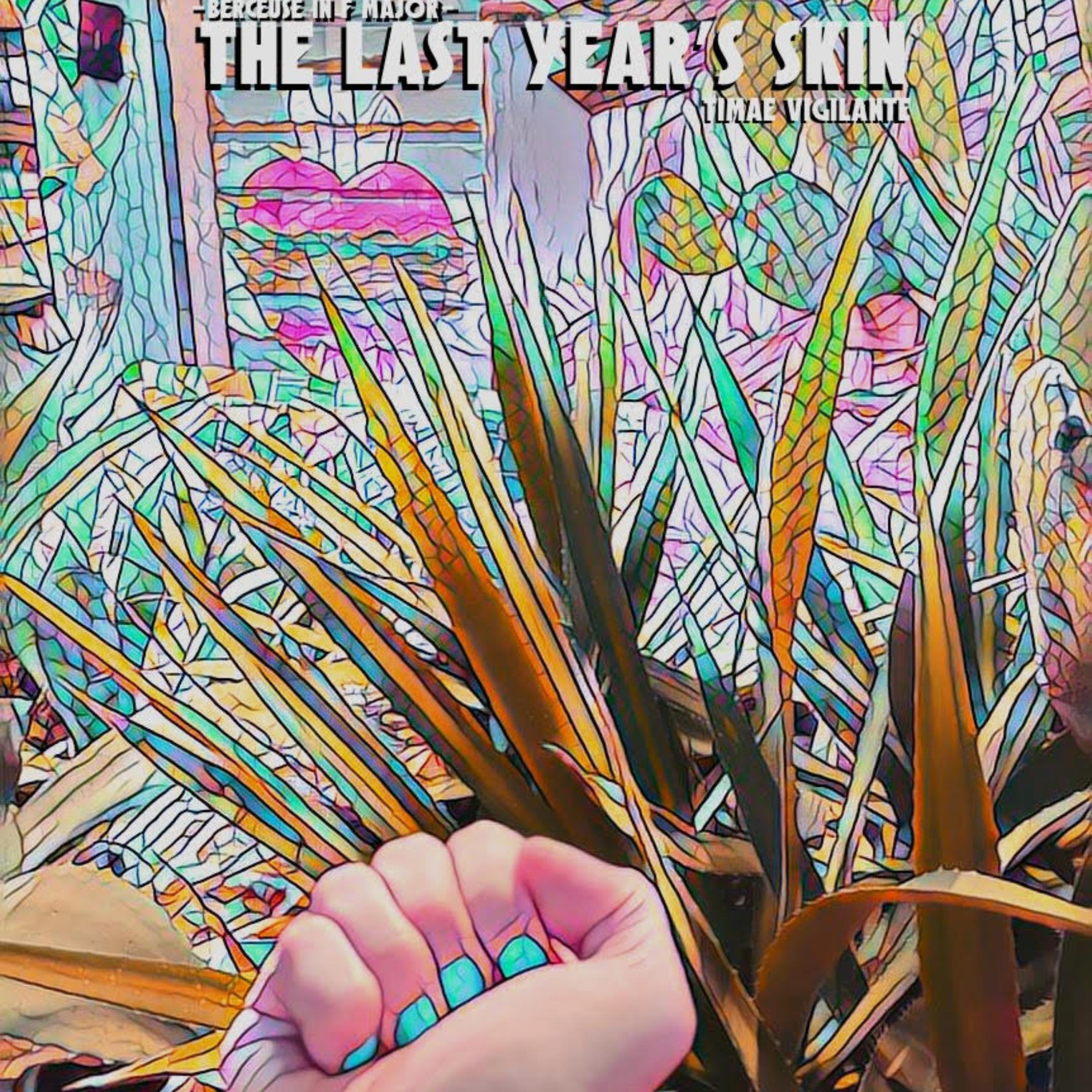 Allegro in E Major: Painted Pictures There Instead (Op. 69)