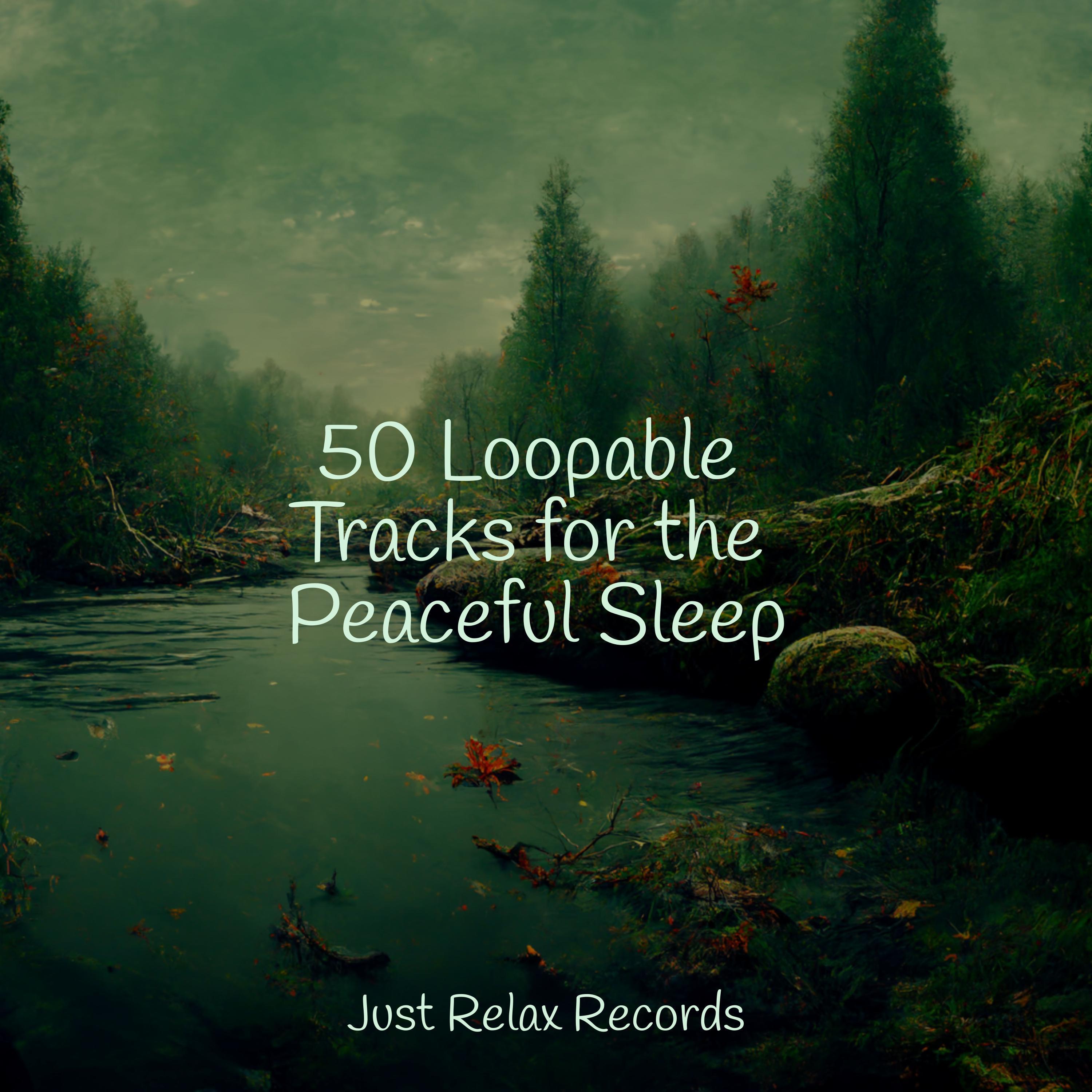 50 Loopable Tracks For The Peaceful Sleep Musica Para Dormir Dream