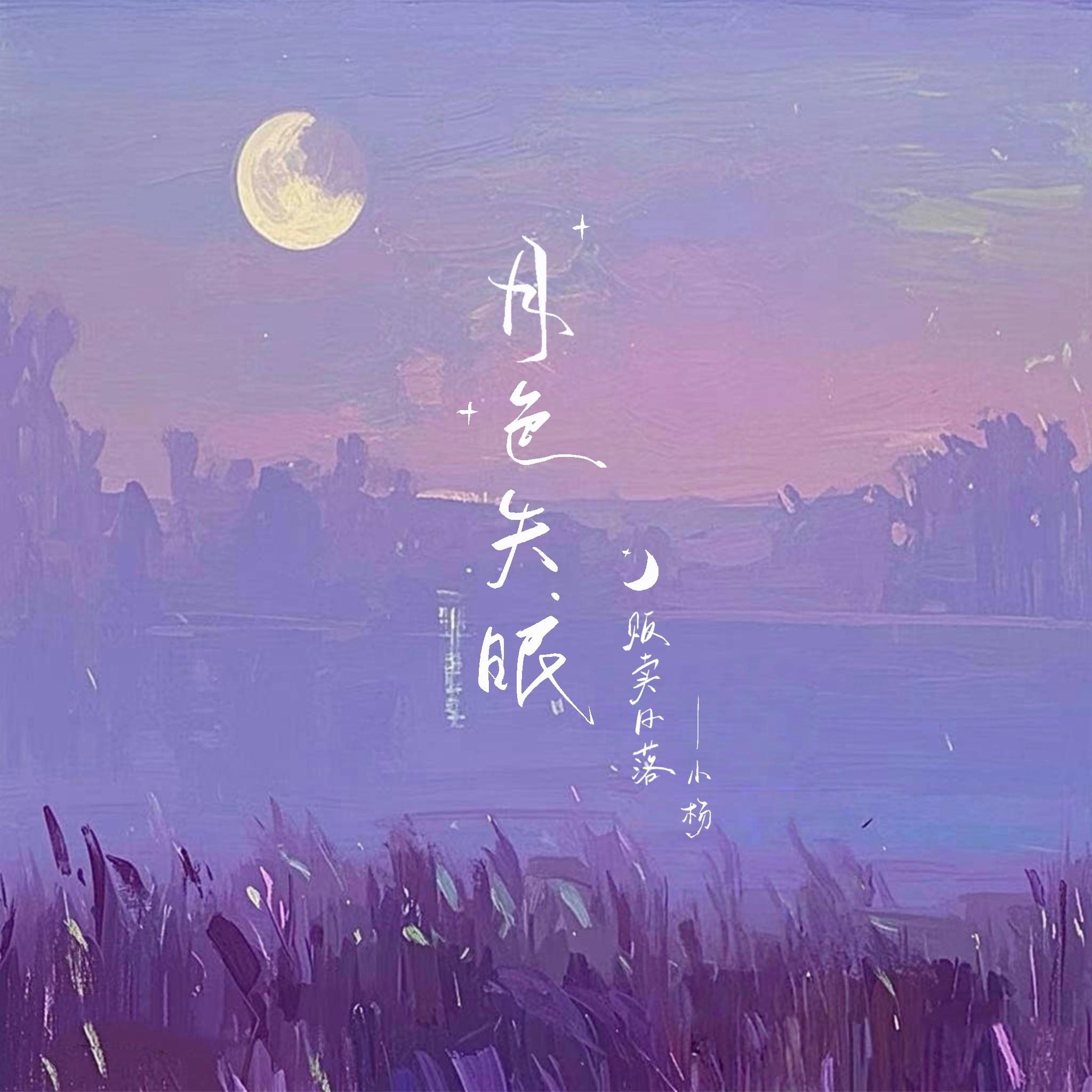 月色失眠封面