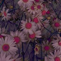 wildflower_luhua资料,wildflower_luhua最新歌曲,wildflower_luhuaMV视频,wildflower_luhua音乐专辑,wildflower_luhua好听的歌