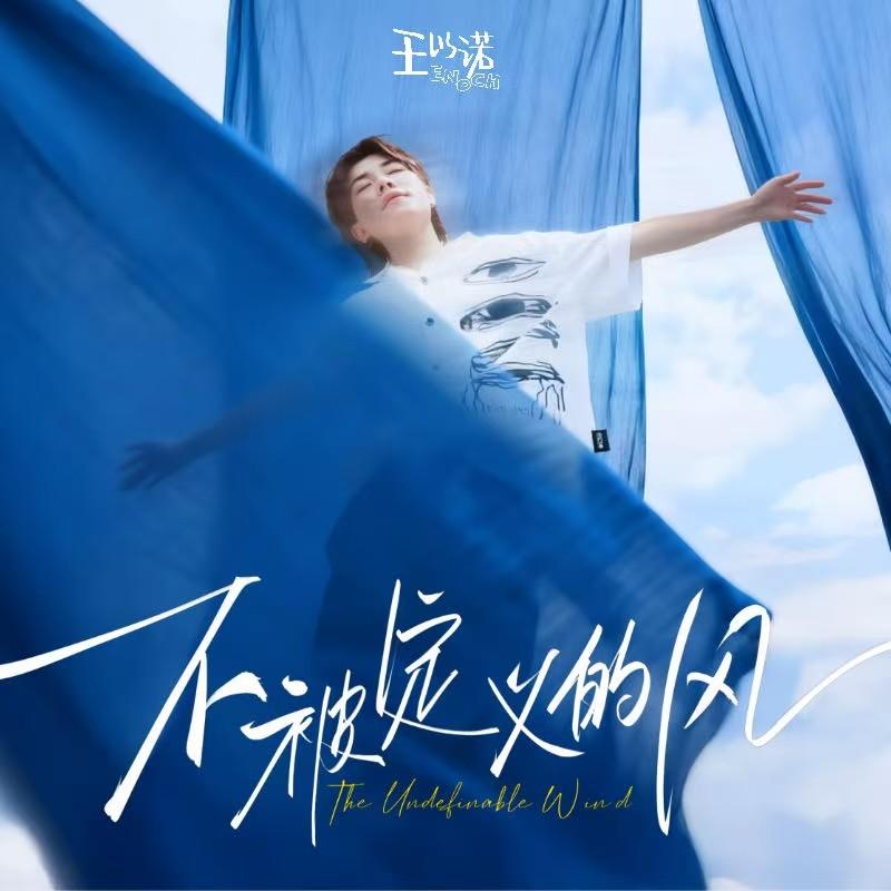 不被定义的风2025