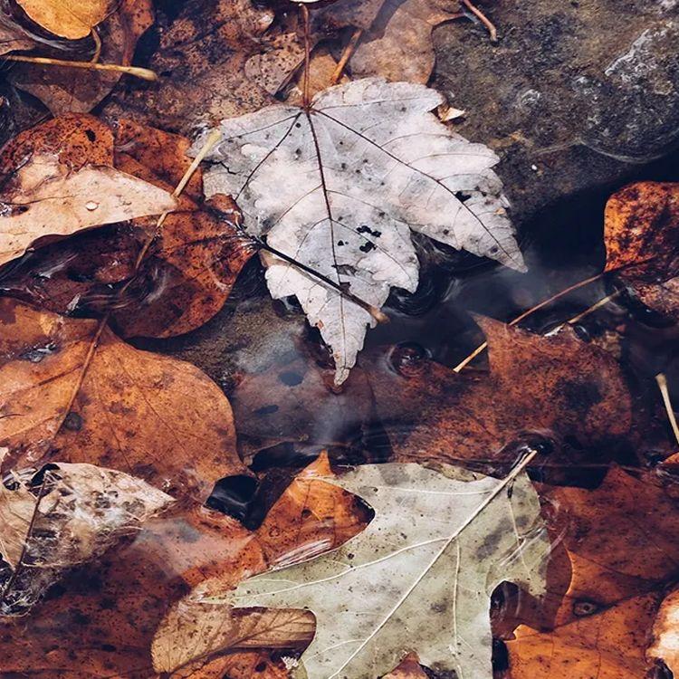 我把我的理想卖了