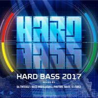 Hard Bass 2017