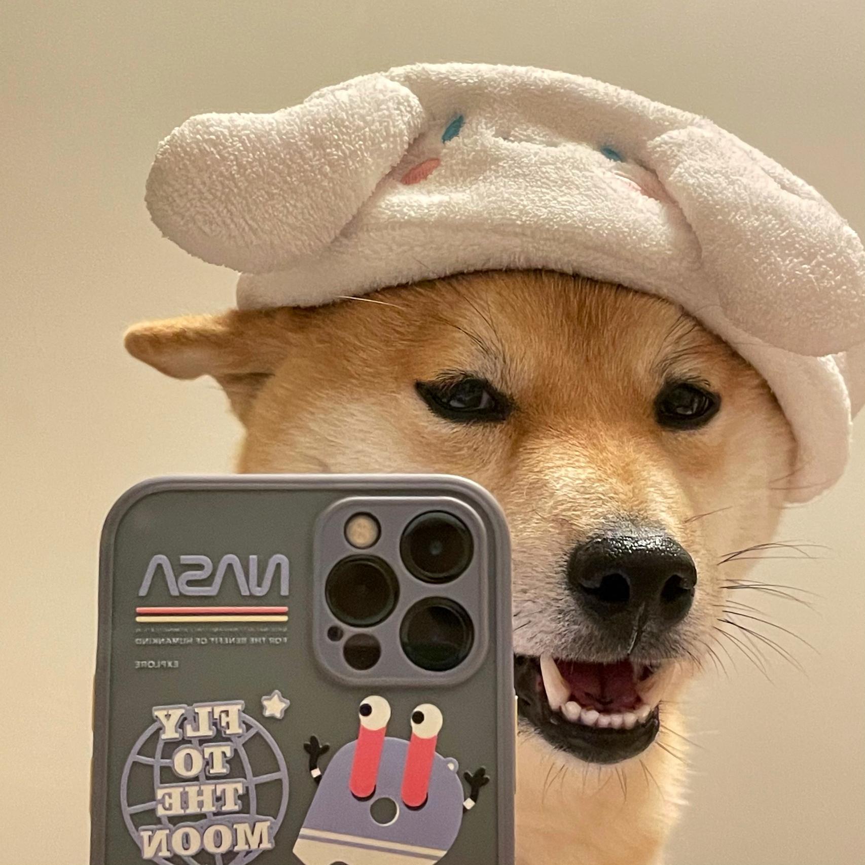 霍格沃兹奇妙夜