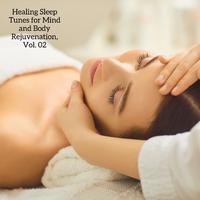 Healing Sleep Tunes for Mind and Body Rejuvenation, Vol. 02