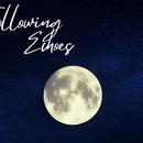 Following Echoes