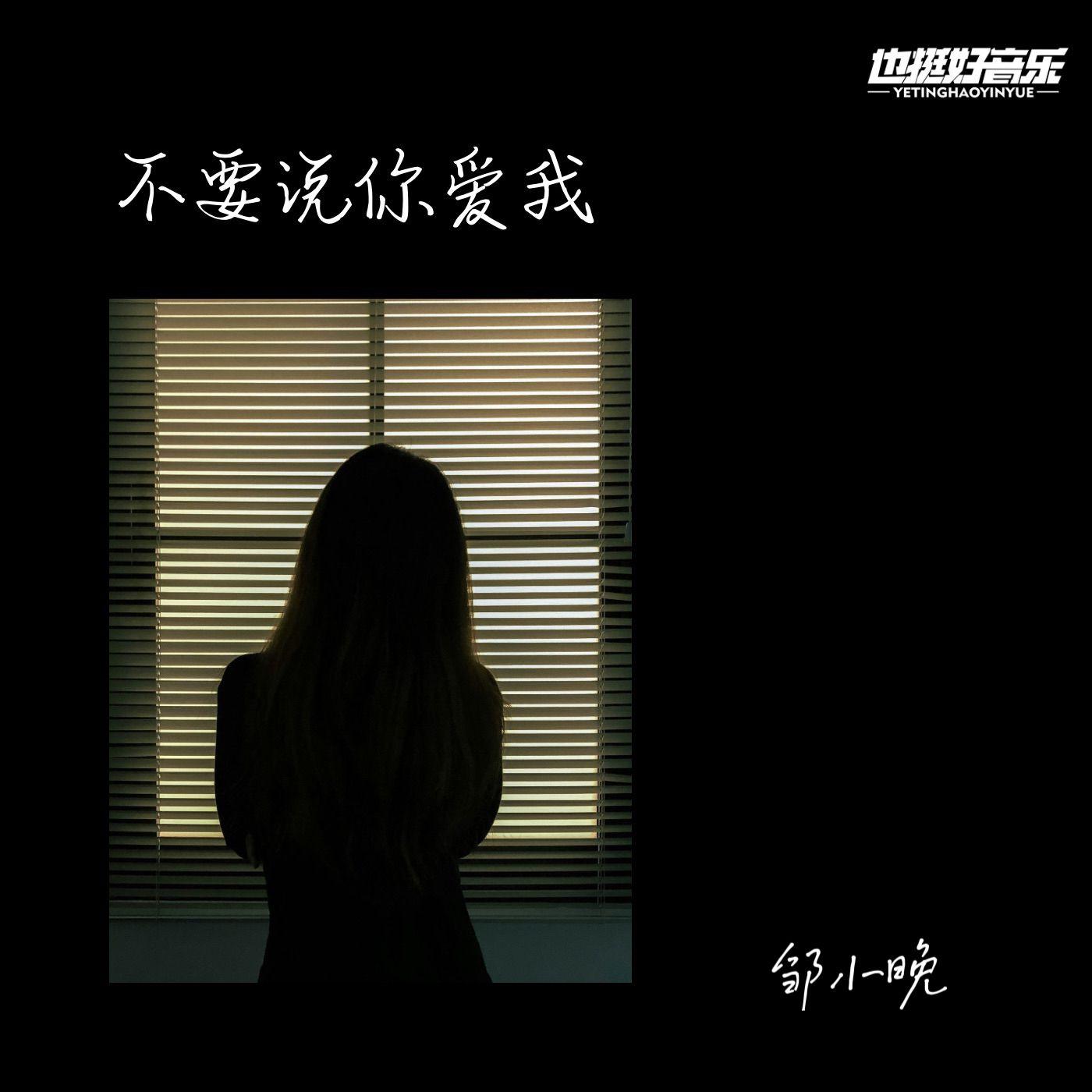 不要说你爱我 (伴奏) - 邹小晚封面