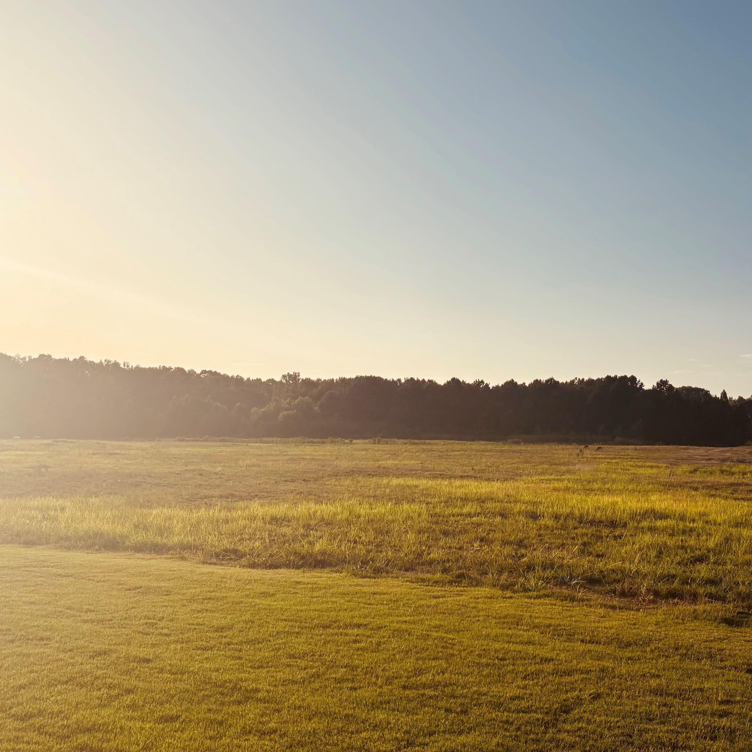 ASMR No Talking: Moving Movie Discs From CD Binder to Cases, Pt. 2