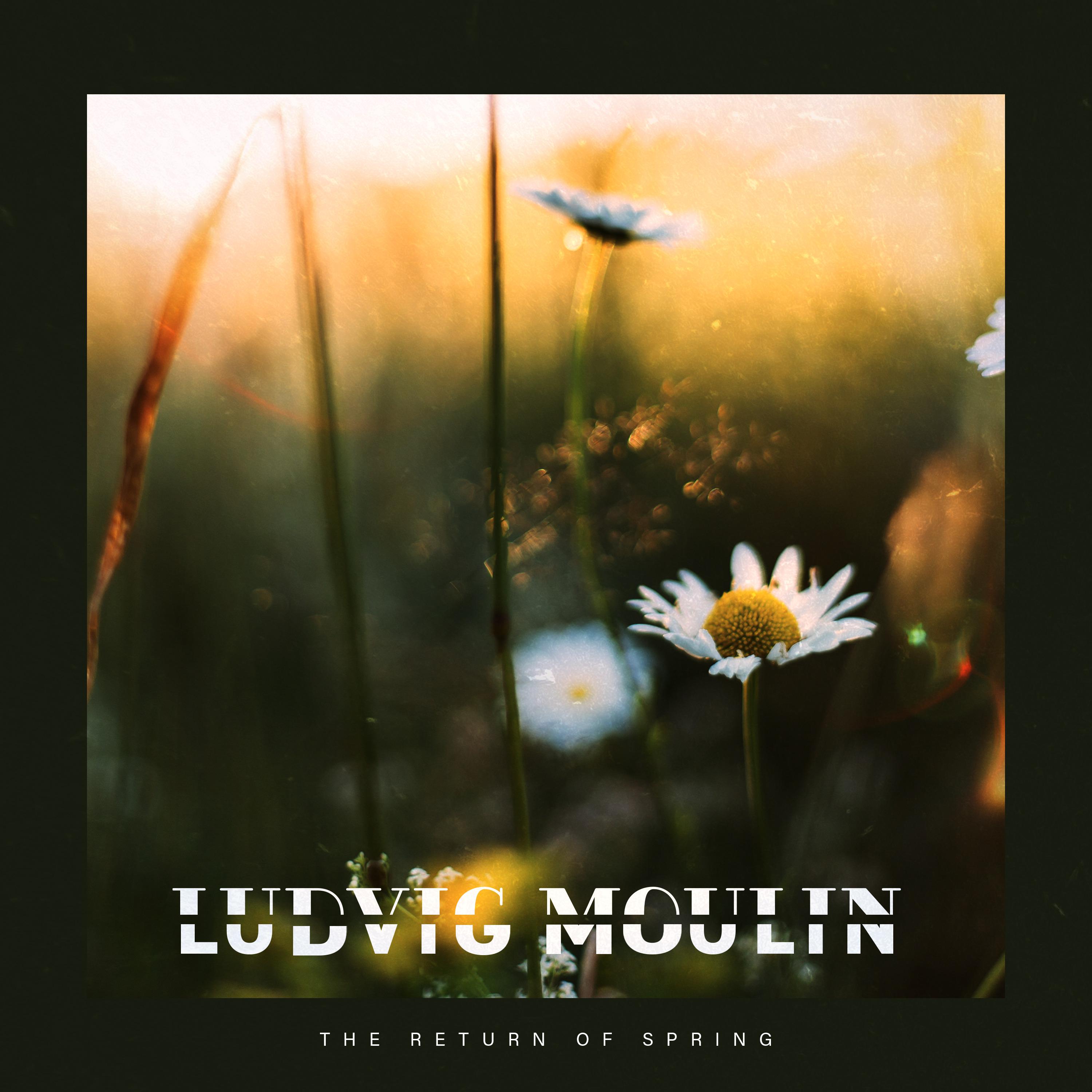 The Return of Spring Ludvig Moulin 单曲 网易云音乐