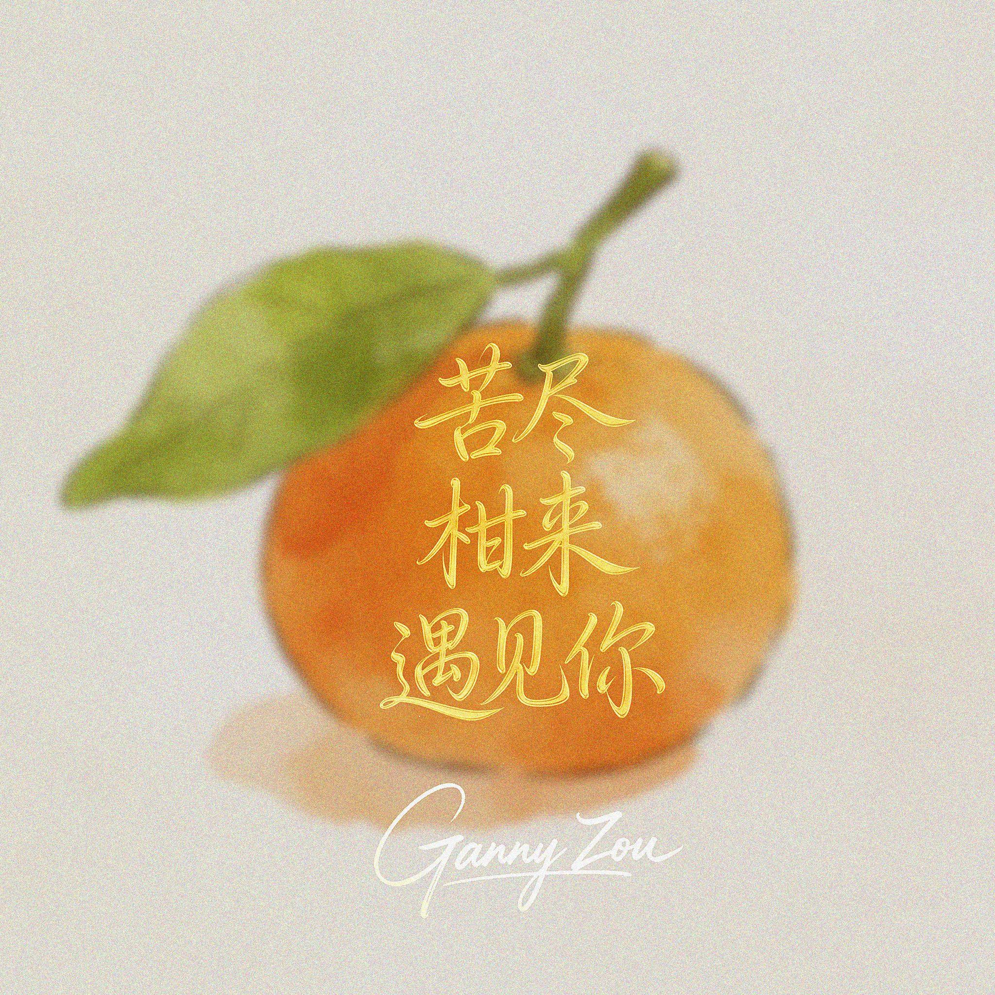 苦尽柑来遇见你