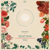 Candy Flip Presents Selection, Vol. 1