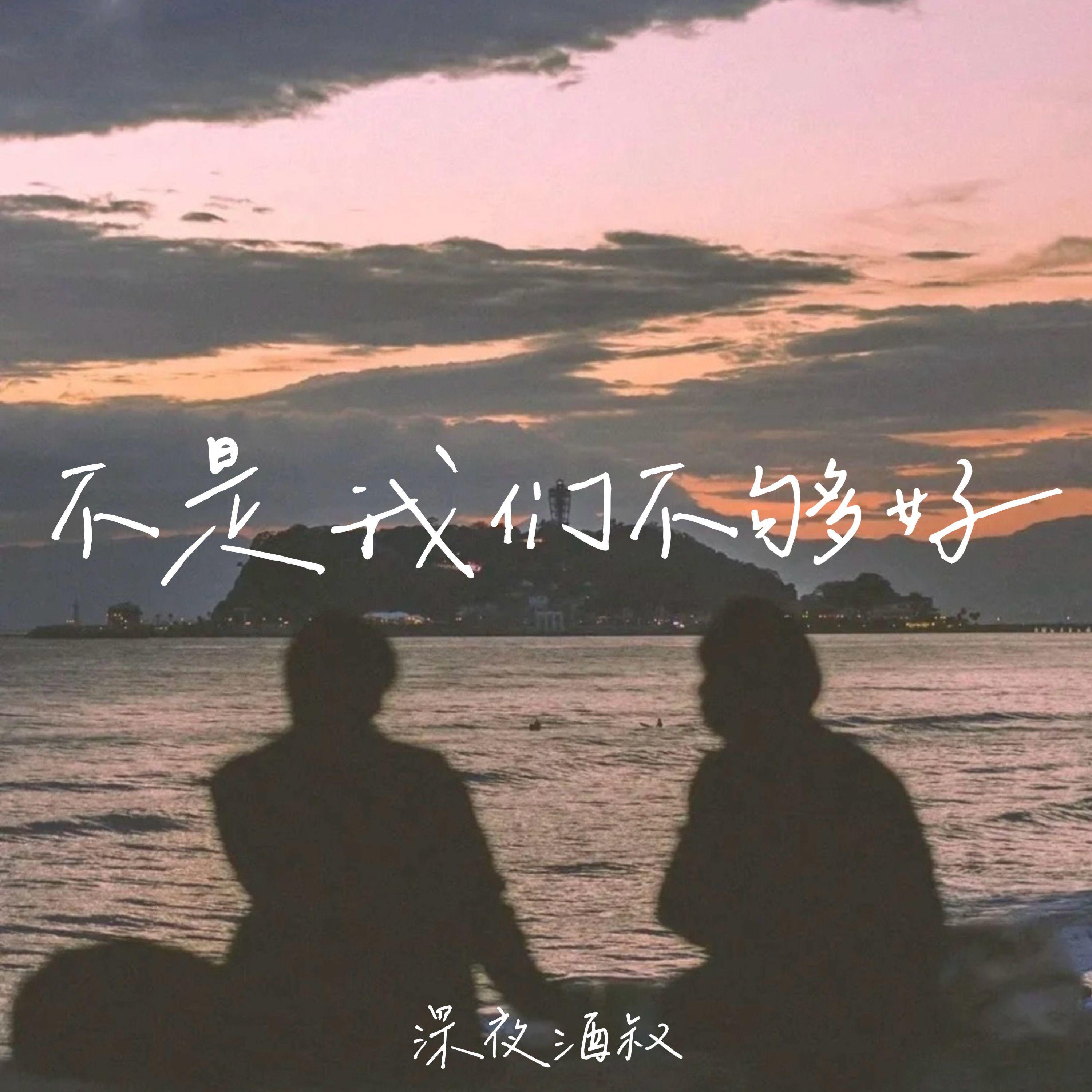 不是我们不够好封面