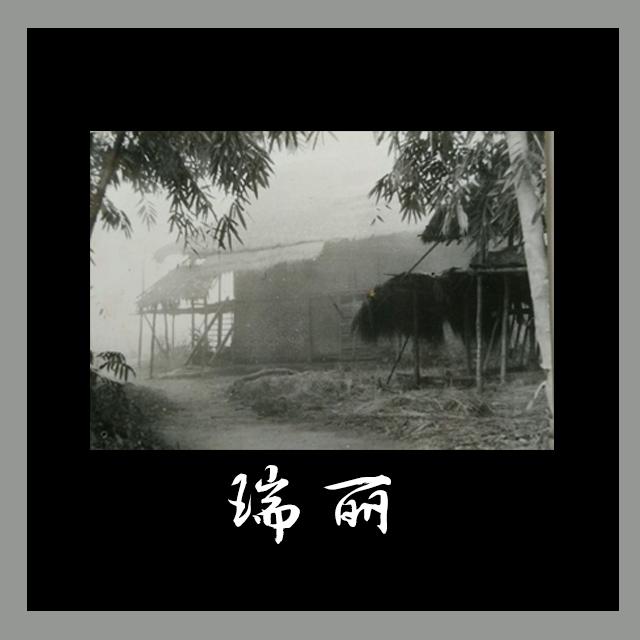 瑞丽_傣龍音乐_瑞丽 | 在线播放_瑞丽歌词_瑞丽下载 | 网易云音乐
