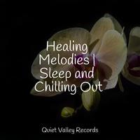 Healing Melodies | Sleep and Chilling Out