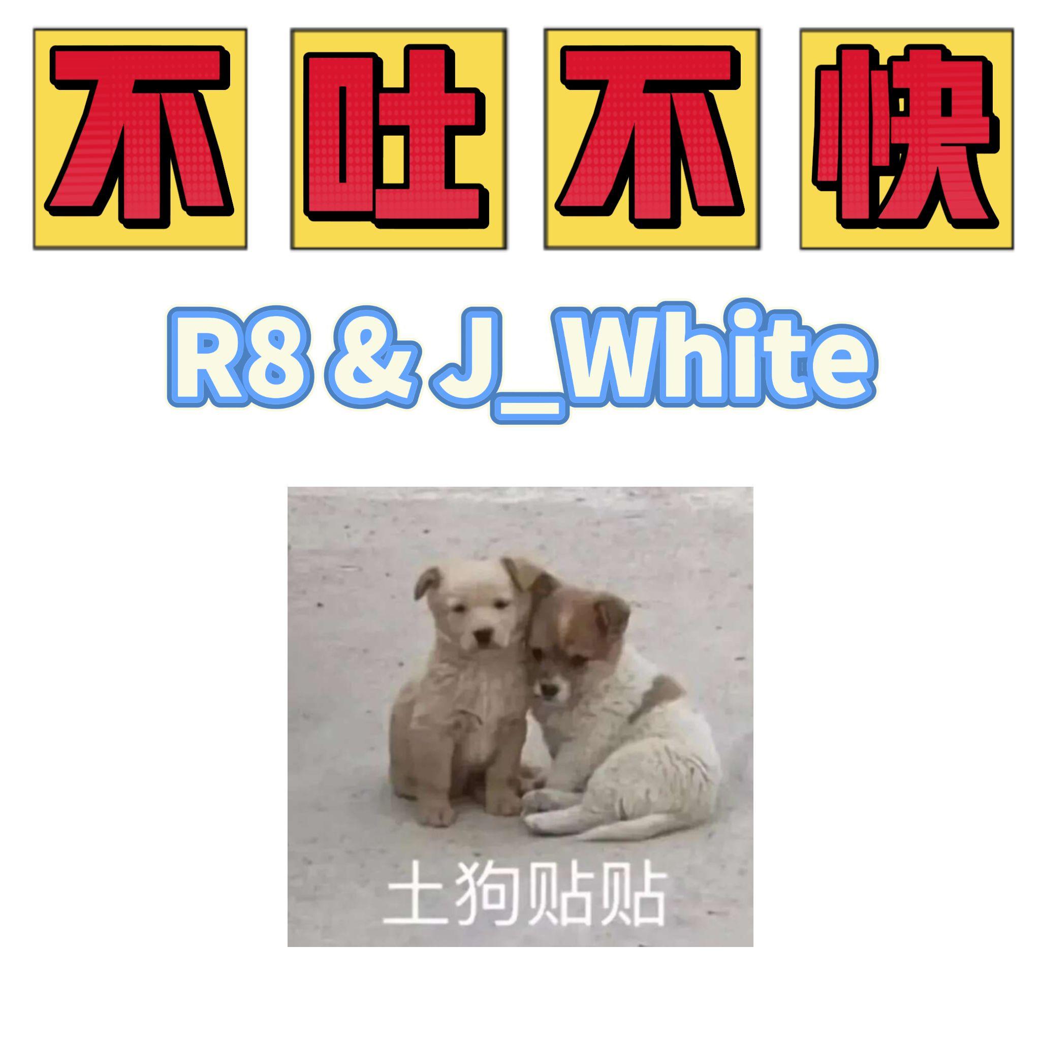 不吐不快封面