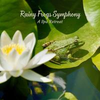 Rainy Frogs Symphony: A Spa Retreat