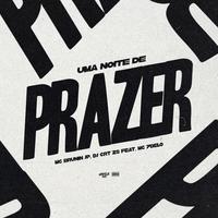 Uma Noite de Prazer (feat. Mc 7 Belo)