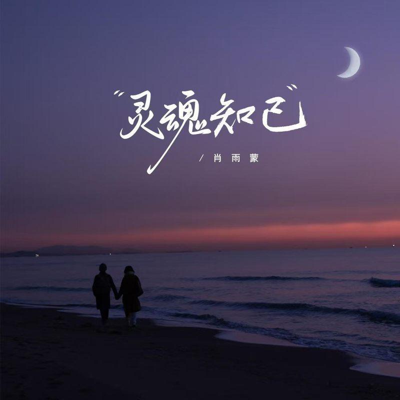灵魂知己封面