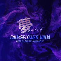 Flower Ninja资料,Flower Ninja最新歌曲,Flower NinjaMV视频,Flower Ninja音乐专辑,Flower Ninja好听的歌