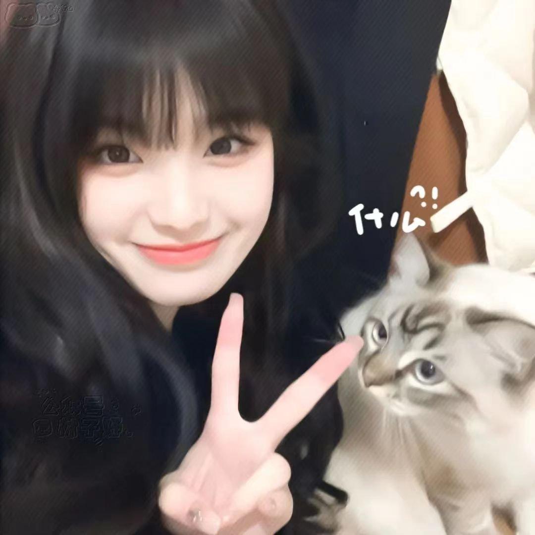 梧桐 伴奏封面