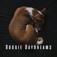 Doggie Daydreams: Coffee Shop Jazz Sessions