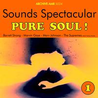 Sounds Spectacular: Pure Soul ! Volume 1