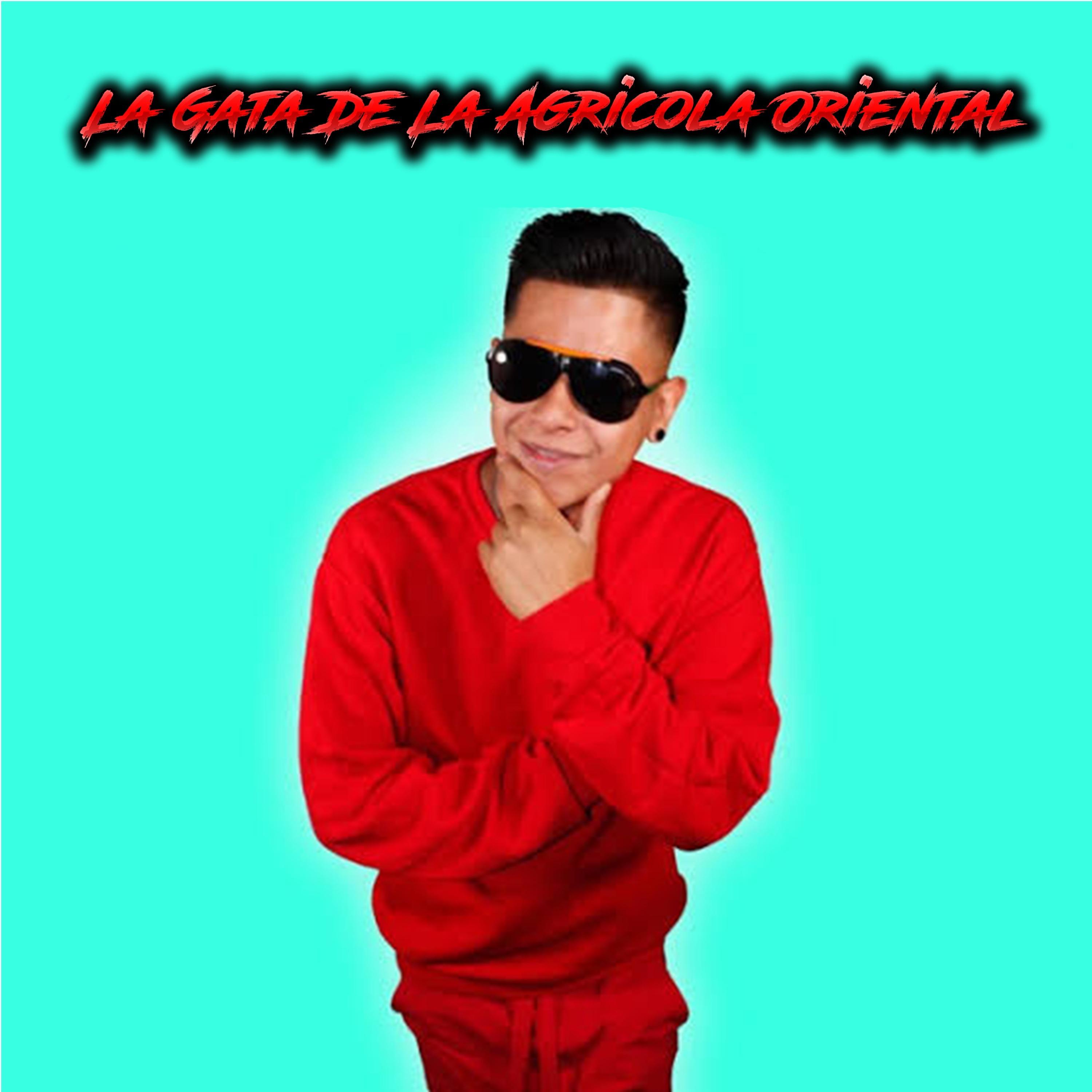 La Gata De La Agricola Oriental