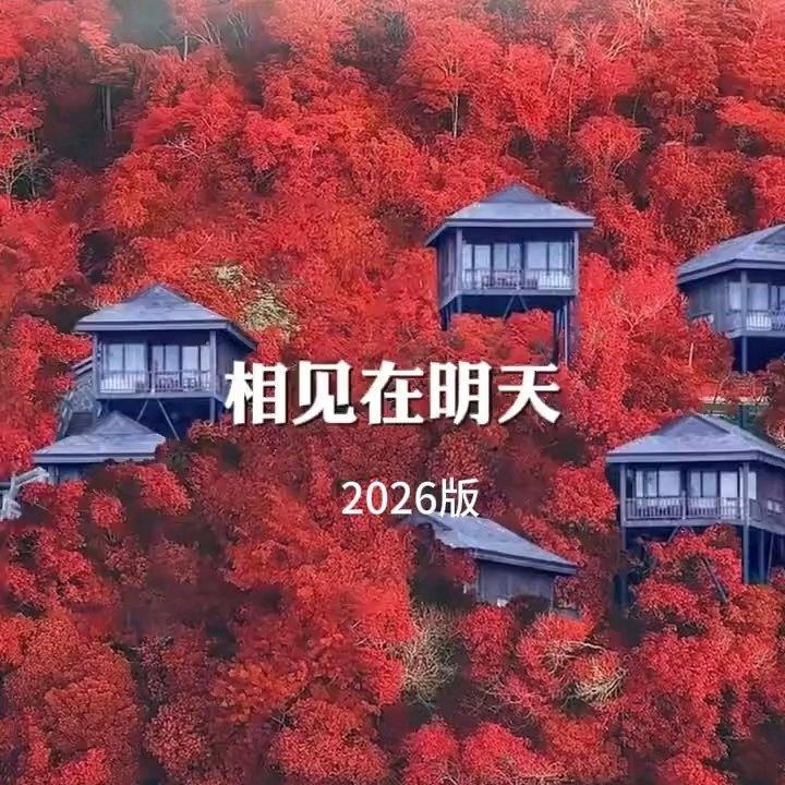 相见在明天封面