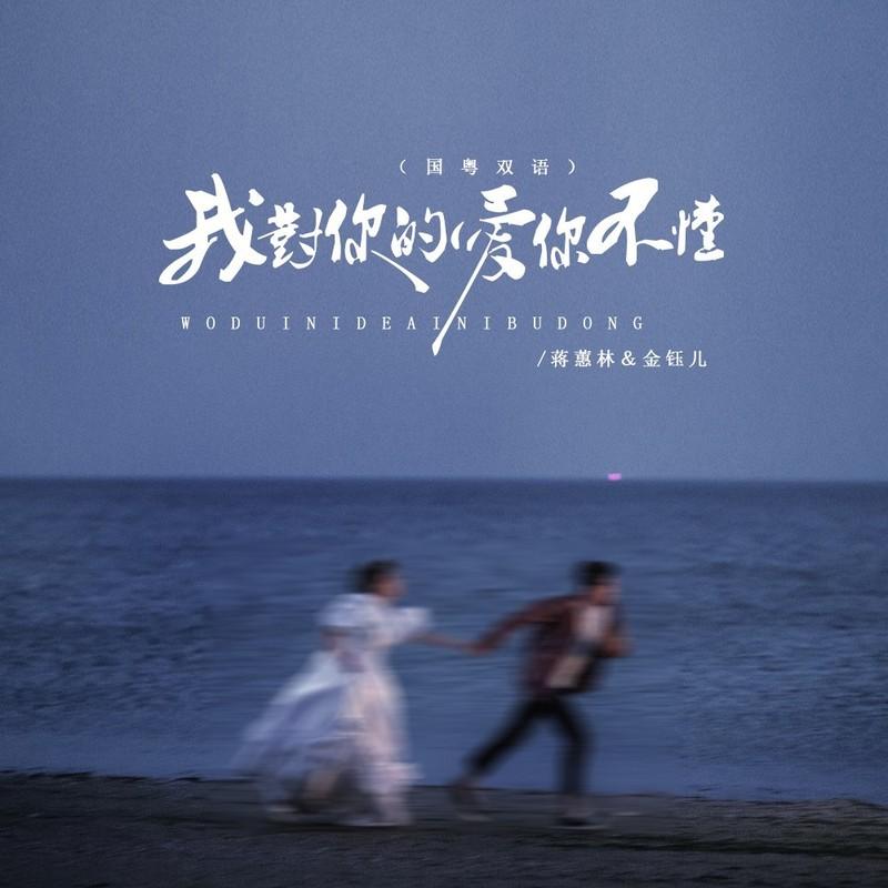 我對你的愛你不懂 海報