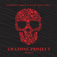 Amazone Project, Vol. 3