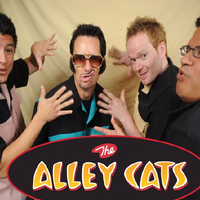 The Alley Cats资料,The Alley Cats最新歌曲,The Alley CatsMV视频,The Alley Cats音乐专辑,The Alley Cats好听的歌