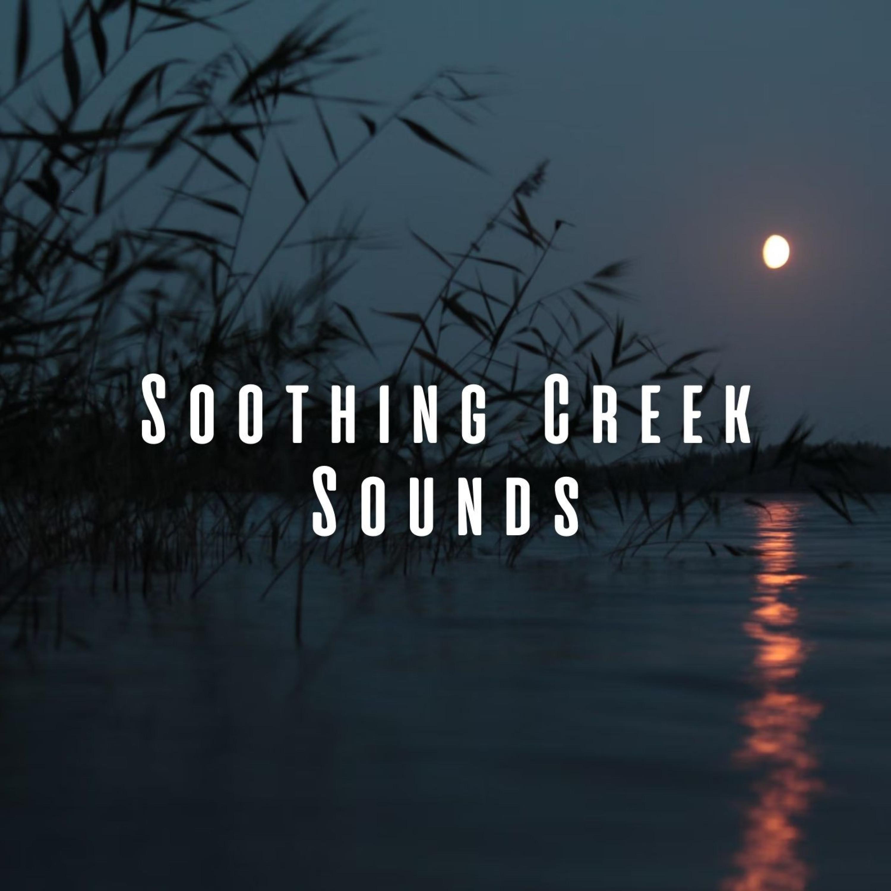 Peaceful Flowing Creek_Soothing Waves Of Nerja_Soothing Creek Sounds | 在线播放_Peaceful Flowing Creek歌词_Peaceful Flowing Creek下载 | 网易云音乐