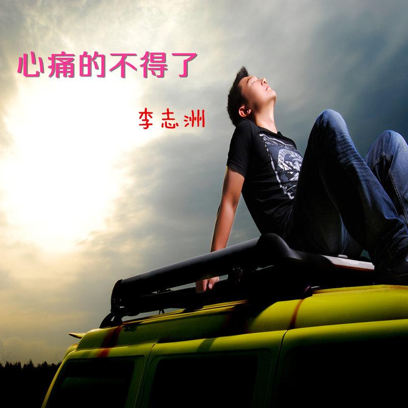 心痛的不得了 (DJ版)封面