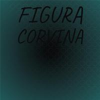 Figura Corvina