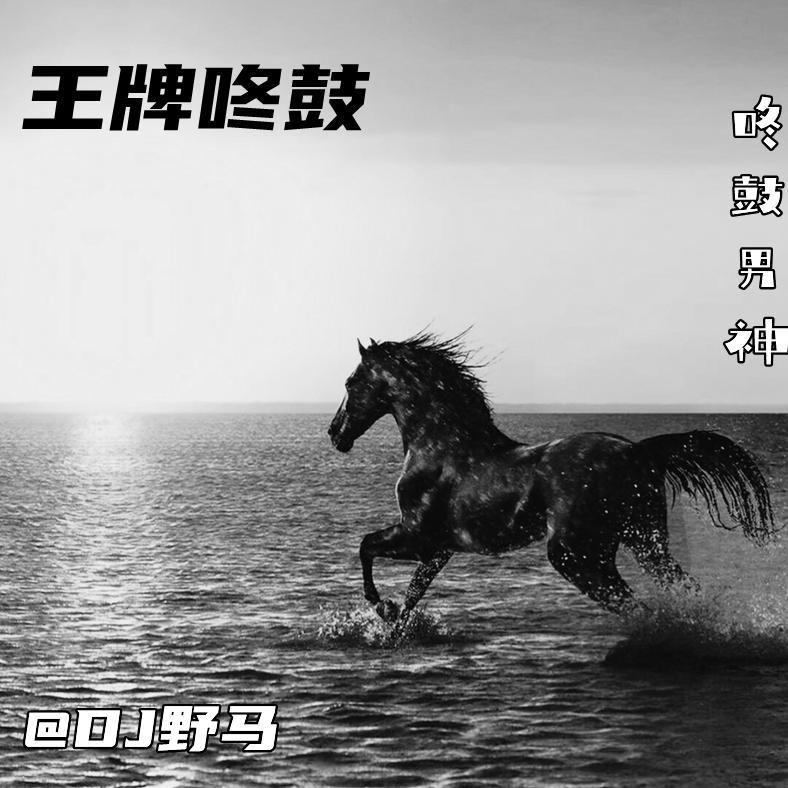 阿衣莫 (DJ咚鼓版)封面
