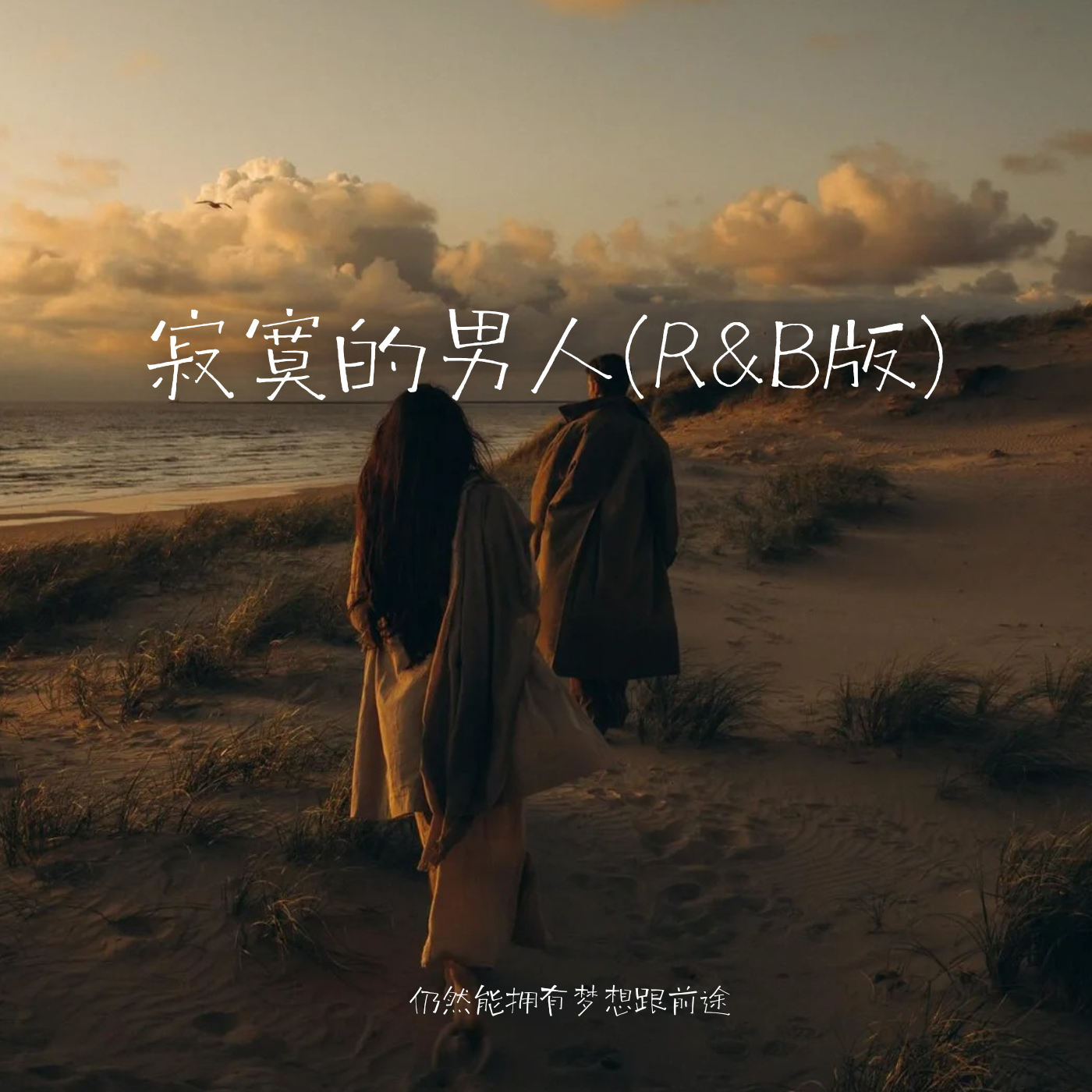 寂寞的男人(R&B版)封面