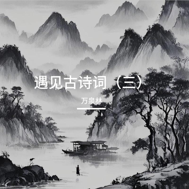 雁丘词封面