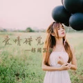 洪荒之力封面