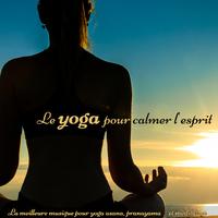 Le yoga pour calmer l'esprit: La meilleure musique pour yoga asana, pranayama et méditation