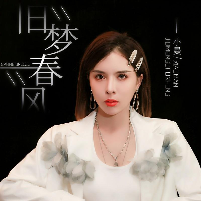 旧梦春风 (DJ默涵版)封面