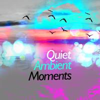 Quiet Ambient Moments