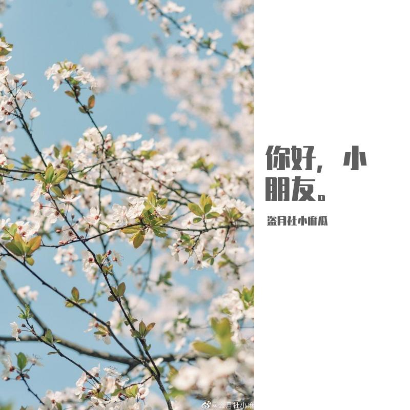 걱정말아요 그대（翻自 野菊花） - 小麻瓜封面